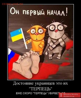 Ну а теперь про Украину - photo_49681