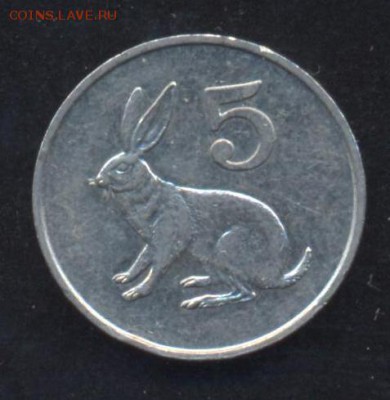 Зимбабве 5 центов 1995 г. 8.05.14 г. 21-00 МСК . - Зимб 5 ц.