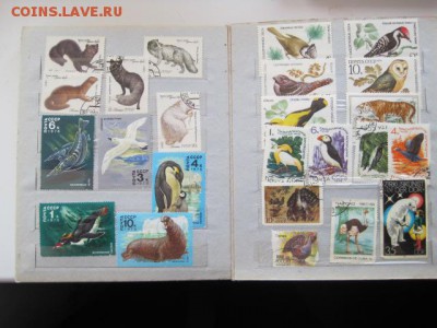 Коллекция марок до 12.05.2014 (22.00мск) - IMG_4450.JPG
