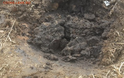 Братский район старая Тэмь - 20140511_110324