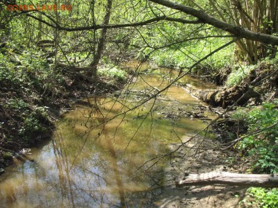 Фото нового оврага. - IMG_6072