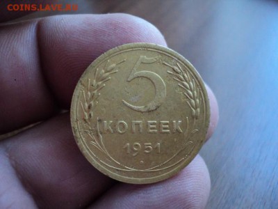 5 копеек 1951 года, нечастая.  До 18.05.14 в 22.00 - DSC03039.JPG