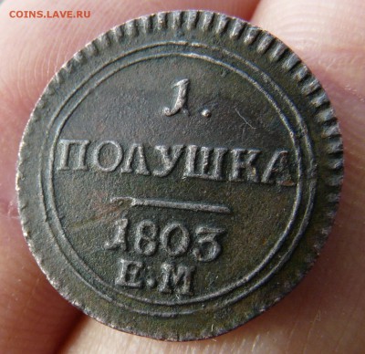 1 полушка 1803 ем оценка - P1230853.JPG