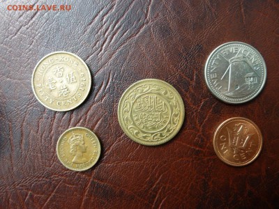 экзотика Тунис Барбадос Гонконг - P1000527.JPG