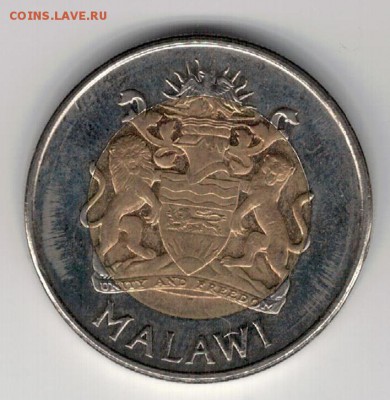 Малави 5 квача 2006 Рыбалка до 19.05 в 22мск (8825) - 4-мал5