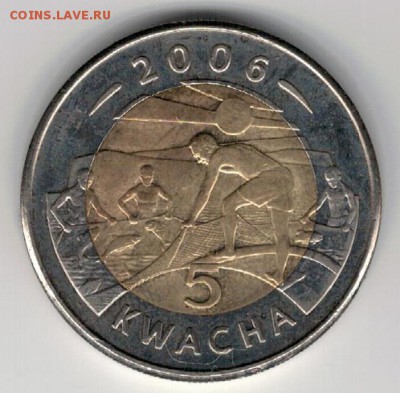 Малави 5 квача 2006 Рыбалка до 19.05 в 22мск (8825) - 4-мал5а