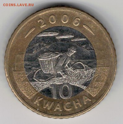 Малави 10 квача 2006 Урожай до 19.05 в 22мск (8513) - 4-мал10а