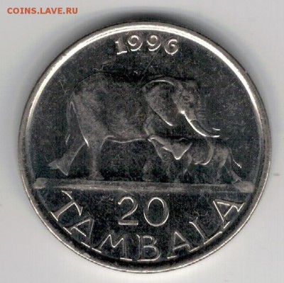 Малави 20 тамбала 1996 Слоны до 19.05 в 22мск (8513) - 4-мал20а