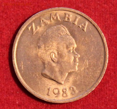 С рубля ЗАМБИЯ 1 нгвее 1983г.ЗВЕРУШКА  до 21.05.14г. в 22-00 - IMG_1001.JPG