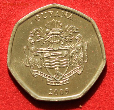С рубля GUYANA 10 долларов 2009г. РЕБРИСТАЯ до 23.05.14г. - IMG_2019.JPG