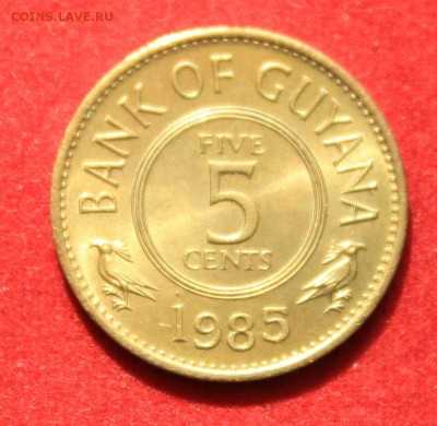 С рубля GUYANA 5c 1985г.  до 23.05.14г.в 22-00 - IMG_2038.JPG