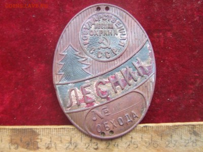 нагр. знак лесничего.советы. до 21 мая 222-00мск - лес-1.JPG