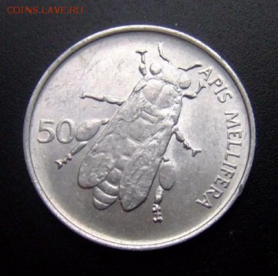 2 - Словения 50 стотинов (1992) «Медоносная пчела» А