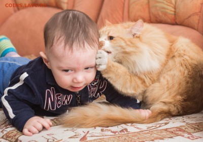 ФОТО - просто фото. Те что получились удачными. - IMG_1214