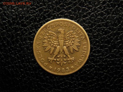 2 злотых, 1983г. Польша. - DSC09483.JPG