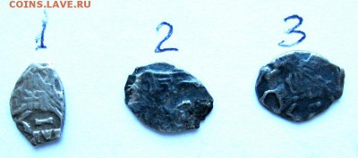 3 чешуйки на опознание и оценку. - IMG_6923