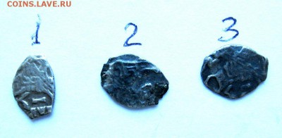3 чешуйки на опознание и оценку. - IMG_6922