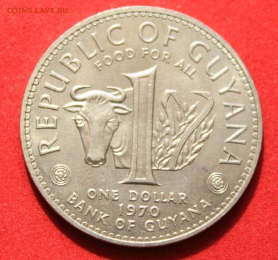 ФАО GUYANA 1 доллар 1970г.КРУПНАЯ МОНЕТА  до 25.05.14г. - IMG_2040.JPG