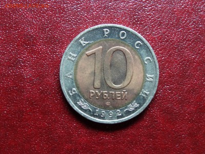 КК 10р 1992 Краснозобая казарка до 22.05 22:00 МСК - DSC03688.JPG