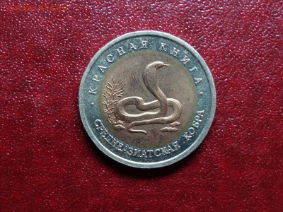 КК 10р 1992 Среднеазиатская кобра до 22.05 22:00 МСК - DSC03689.JPG