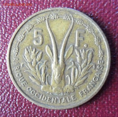 5 франков 1956 Франц.западная Африка, до 23.05..21.00 Мск - SAM_7360.JPG