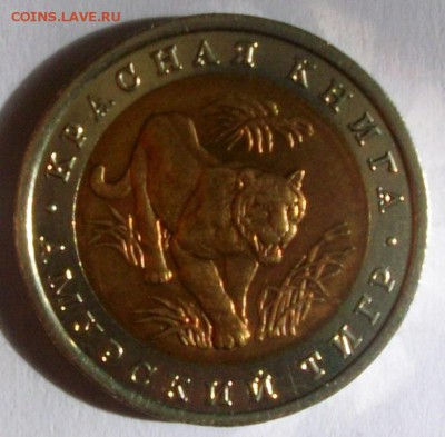 КК 10 руб. 1992 г. Амурский тигр № 1 (до 25-05-2014 в 22:00) - 100_9913.JPG