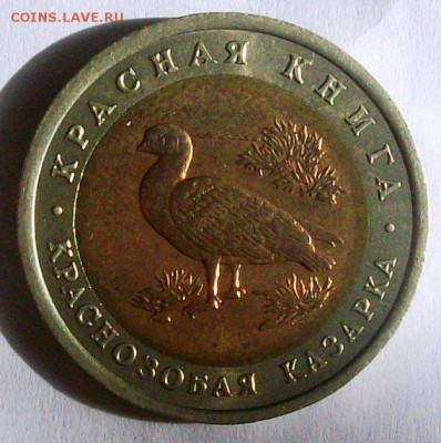 КК 10 руб.1992г. Краснозобая казарка (до 25-05-2014 в 22:00) - 100_9917.JPG
