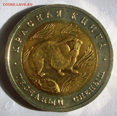 КК 50 руб.1994 г. Песчаный слепыш №1 (до 25-05-2014 в 22:00) - 100_9925.JPG