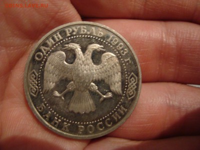Вернадский без мд - DSC09780.JPG