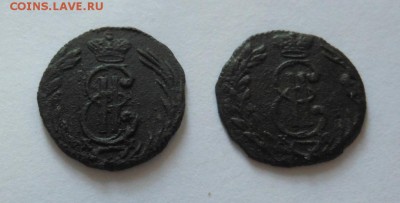Полушки 1768,1768,1770  и денга 1778 Сибирь на оценку - DSCN6655.JPG