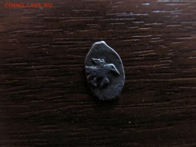 Чешуйка - IMG_3776.JPG