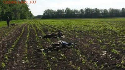 Ну а теперь про Украину - 173
