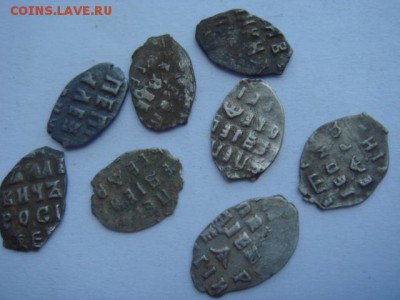 подскажите  по  цене  чешуя 17  штук - DSC09846.JPG