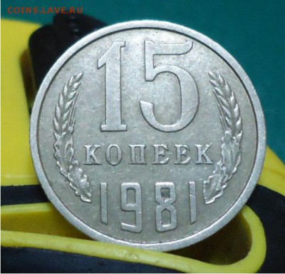 15 копеек 1981 год. Волосатая. - DSC04658.JPG