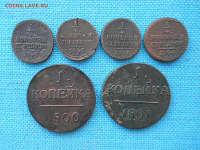 Ассорти(Н-1 и П-1)- 6 шт. - DSCN1167