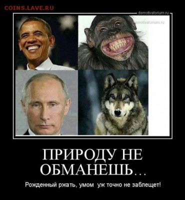 Ну а теперь про Украину - 149