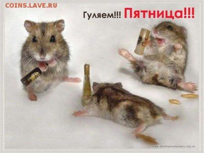 делает - прямо сейчас !!! - getImage