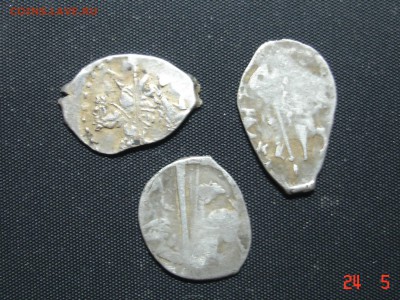 3 чешуйки на опознание и оценку - DSC00059.JPG