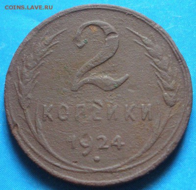 1 коnейка 1924 г. гуpт pубчатый - оценка - P.JPG