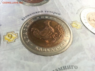 ГОРЫ-11г, Кр книга, 92-95, наборы 1812 по 290 руб. - 20140523_194835