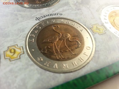 ГОРЫ-11г, Кр книга, 92-95, наборы 1812 по 290 руб. - 20140523_194906