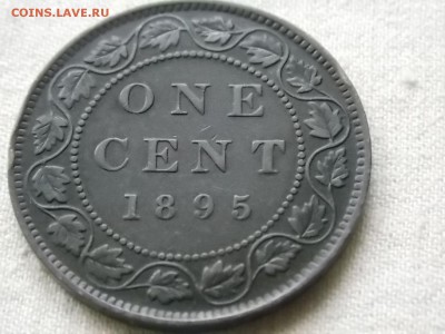 Канада 1 цент 1895 приятная - DSCN4185.JPG