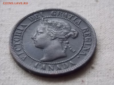 Канада 1 цент 1895 приятная - DSCN4187.JPG