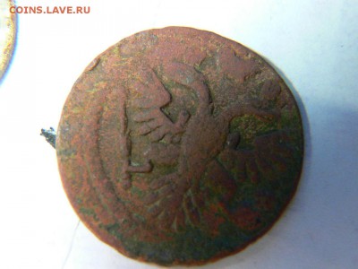 10 руб Белозёрск  ЩЕЛЬ+смещение+БОНУСЫ до 30 мая 16-10 м.вр. - P1900633.JPG