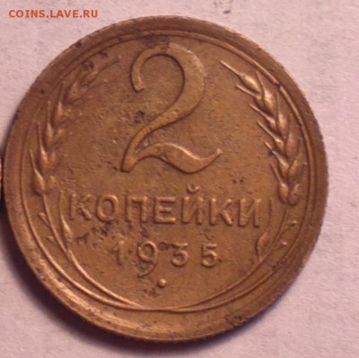 двушка 1935 новый тип-вариант пореже-4 стебля-30 5 14 22 22 - 2  35