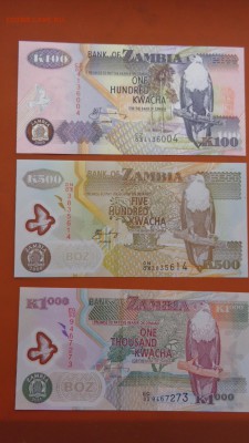 Замбия 100-500-1000 квача  до 29.5  в 21-30 мск - ....лето 26.5.14 г.  разное 104.JPG