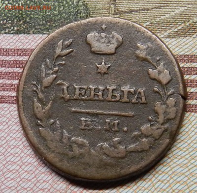 денга  - 1819  ем нм ( домашняя ) из коллекции до 29.05.2014 - DSCN6891