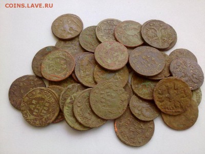 35 монет деньга и полушка с 1731 по 1750 до 01.06.14 в 22:00 - 240520145907