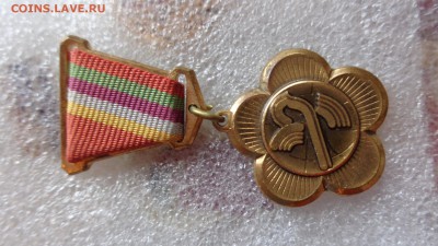 За активное участие в подготовке и проведении фестиваля 1985 - хххх27.5.14 г разное 012.JPG