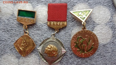 3 знака ЦК ВЛКСМ : участ охраны природы,Животноводу,кукуруза - хххх27.5.14 г разное 077.JPG